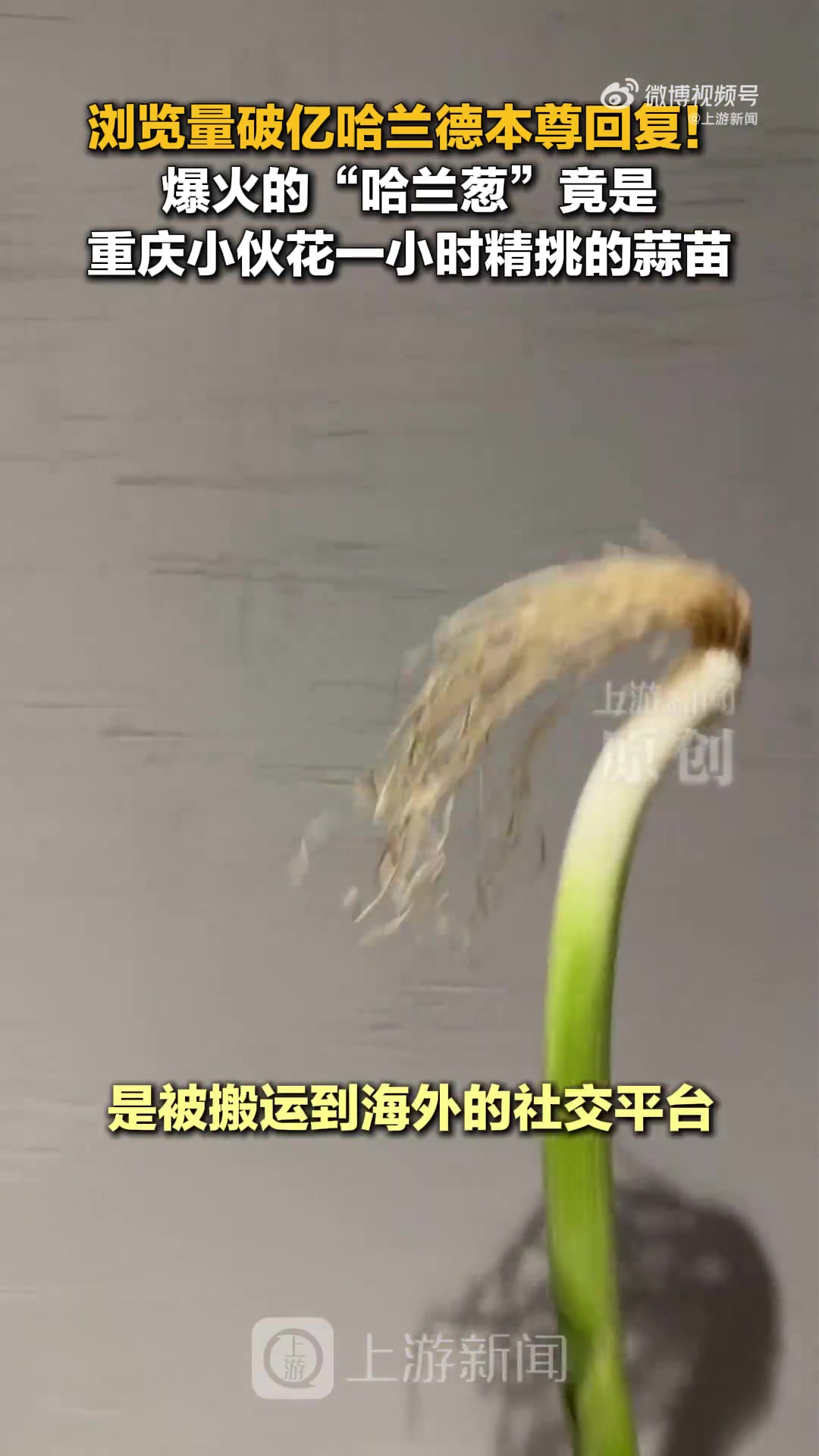 蒜苗cos哈兰德原作者现身重庆 视频搬运者获利超亿浏览